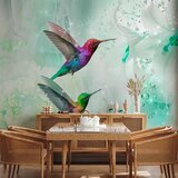  Foto tapeta - Colourful Hummingbirds (Green) 500x350 Premium | shoptok.hr
