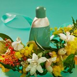 Cacharel Eden wmn edp sp 50ml | Eponuda.com