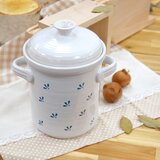 Orion Komplet za fermentiranje 2,8 l MODROBÍLÁ – | Shoptok.si