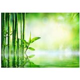  Samoljepljiva foto tapeta - Bamboo Grove 343x245 | shoptok.hr