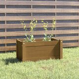 Furnova Vrtno cvetlično korito medeno rjavo 60x31x31 cm trdna borovina, (22014439) | Shoptok.si