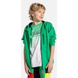 Coccodrillo Otroški bombažen pulover zelena barva, s kapuco