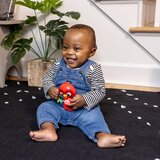 BABY EINSTEIN Roxy&amp;#039;s Bright Flight&amp;trade; glazbena igračka 3m 1 kom Slike