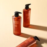 DAENG GI MEO RI Honey Therapy Professional Plus Shampoo regenerirajući šampon za slabu i oštećenu kosu 500 ml | shoptok.hr