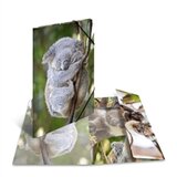 Herma Mapa s elastičnom gumicom A3 PP Glossy Koala Cijene