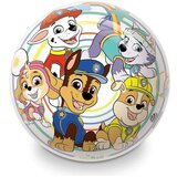Lopta PAW PATROL D 230 26017 Cijene