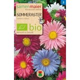 Samen Maier BIO poletna astra Cene