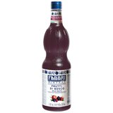 Fabbri sirup Mixybar Åumsko VoÄe 1000 ml Cijene