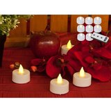 Hilight LED svijeće u setu od 8 kom (visina 4 cm) - | shoptok.hr