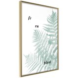  Poster - Pale Green Fern 30x45 Cijene