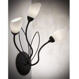 Jupiter 2059 - zidna lampa gloriosa 3xG9/14W/230V crna | Eponuda.com