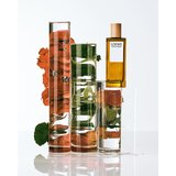Loewe Pour Homme toaletna voda za muškarce 50 ml | shoptok.hr