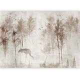  Foto tapeta - Among the trees - landscape in grey tones in fog in a clearing with birds 300x210 Standard | shoptok.hr