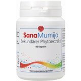 SanaCare SanaMumijo - 60 Kapsule | shoptok.hr