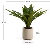 Kave Home Umjetni sukulent (visina 70 cm) Neottopteris – | shoptok.hr