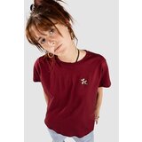 Iriedaily Puffy Dog T-shirt bordeaux | Shoptok.si