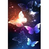 Conceptum Hypnose tepih (80 x 150) WOOKECE128 Cene
