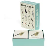 Rex London Igra spomin Garden Birds –