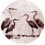  Okrugla fototapeta - Herons painted with ink 180x180 | shoptok.hr