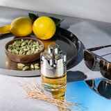 Azzaro Wanted toaletna voda za muškarce 100 ml | shoptok.hr