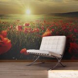  Tapeta - Morning on the poppy meadow 450x270 Cijene