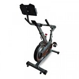 Xplorer sobno kolo Eagle811 črna | Shoptok.si