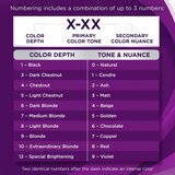 Schwarzkopf Palette Intensive Color Creme permanentna barva za lase odtenek 12-21 Silver Ash Blonde 1 kos | Shoptok.si