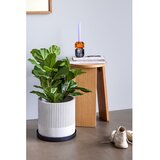 Hübsch Metalni ukrasni pladnjevi 3 kom ø 33 cm Embrace – | shoptok.hr