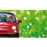  automobilska sijalica philips ecovision 12972LLECOB1 H7 PX26d/55W/12V | Eponuda.com