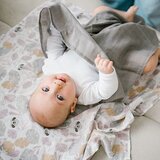 BabyOno 348/10 pelene muslin 3kom sive | shoptok.hr