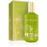 Pendora Scents Pendora Oud Holidays EDP Uniseks 100ml | shoptok.hr