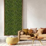 MID.YOU Panel Za Rastline More Green I | Shoptok.si