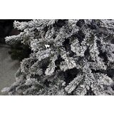 Olimp Sport Novogodišnja jelka Kraljevska snežna jela 180 cm | ePonuda.com