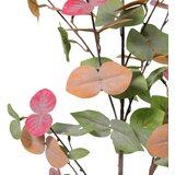 Mömax Umetna Rastlina Eukalyptus -Paz- | Shoptok.si