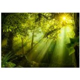  Tapeta - In a Secret Forest 250x175 | shoptok.hr