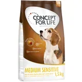 Medium Sensitive - 6 kg (4 x 1,5 kg)
