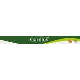 Gardlov vrtna figura čaplja na kolcu 66 cm, siva Slike