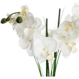 Atmosphera Umjetna biljka u tegli orhideja H53 | shoptok.hr