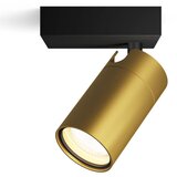 Philips idris GU10 5 w spot | ePonuda.com
