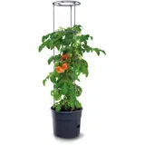 Lonec za gojenje paradižnika s oporo za plezanje - ⌀ 39 cm - 28 l