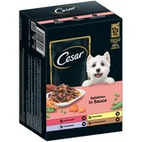 40 + 8 gratis! 48 x 100 g hrana za pse - Selection meso i povrće u umaku