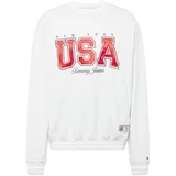 Tommy Jeans Sweater majica 'ARCHIVE GAMES TEAM USA' siva / svijetlosiva / crvena / bijela
