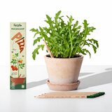  Olovke sa sjemenkama Sprout Pizza (5 komada) Cijene