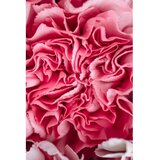 Conceptum Hypnose tepih (180x280) WOOKECE085 | ePonuda.com