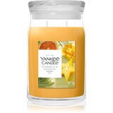 Yankee Candle Starfruit & Sunshine mirisna svijeća 567 g Cijene