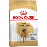 Royal Canin Great Dane Adult - Varčno pakiranje: 2 x 12 kg | shoptok.hr