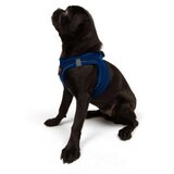 Paws & Whiskers Am za pse Air-Mesh, Plavi | Eponuda.ba