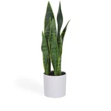 Umjetna biljka (visina 55 cm) Sansevieria –