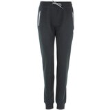 Peak Mountain Spodnji deli trenirke Pantalon de jogging femme ANOE Črna | Shoptok.si