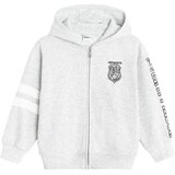 Cool club jopa DR LCG3321014 8226837 HARRY POTTER D siva 158 Cene